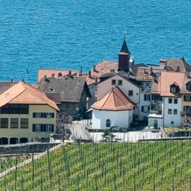 Rivaz et ses vins